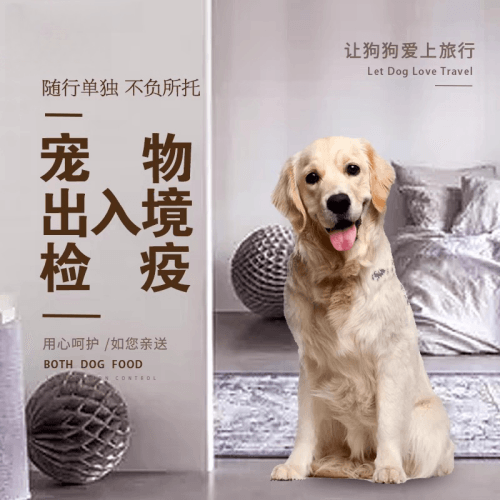 泉州宠物托运到哥伦比亚猫狗宠物入境规定和