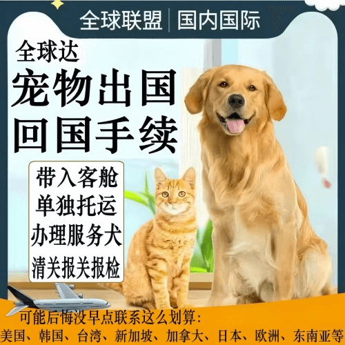 泉州宠物托运到柬埔寨宠物入境规定和要求